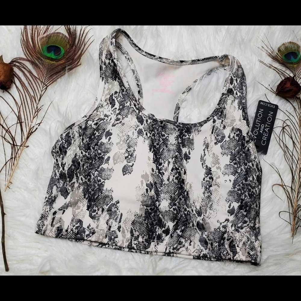 Evolution & Creation Cami